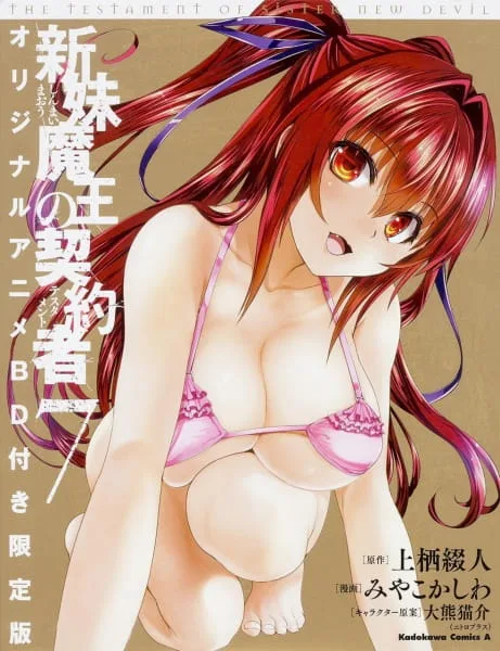 The Testament of Sister New Devil: Burst OVA (2016) anime poster