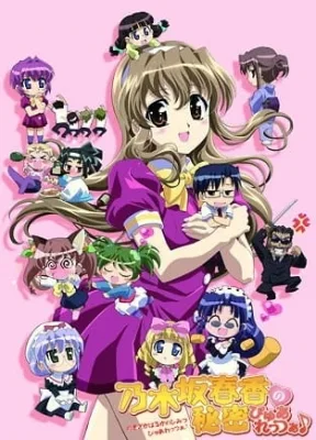 Nogizaka Haruka no Himitsu: Purezza (2009) anime poster