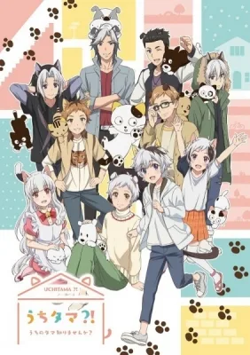 Uchitama?! Have you seen my Tama? (2020) anime poster