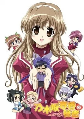 Haruka Nogizaka's Secret (2008) anime poster