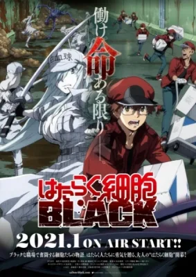 Cells at Work! Code Black (TV) (2021) anime poster