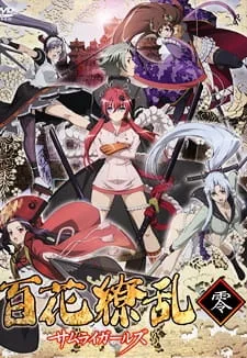 Samurai Girls (2010) anime poster