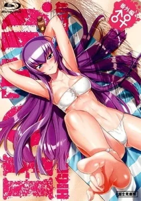 Highschool of the Dead: Drifters of the Dead (2011) anime poster