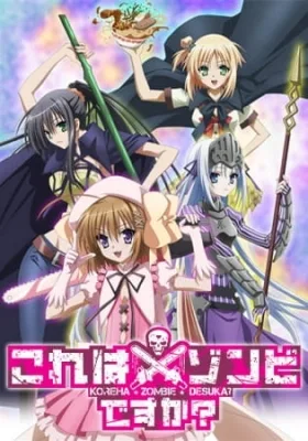 Is This a Zombie? (2011) anime poster