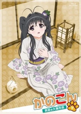 Kanokon: Manatsu no Dai Shanikusai (2009) anime poster