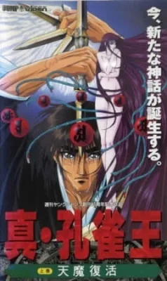 Spirit Warrior (1994) anime poster