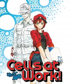 Cells at Work Special (2018) anime poster