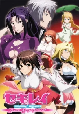 Sekirei: Pure Engagement (2010) anime poster